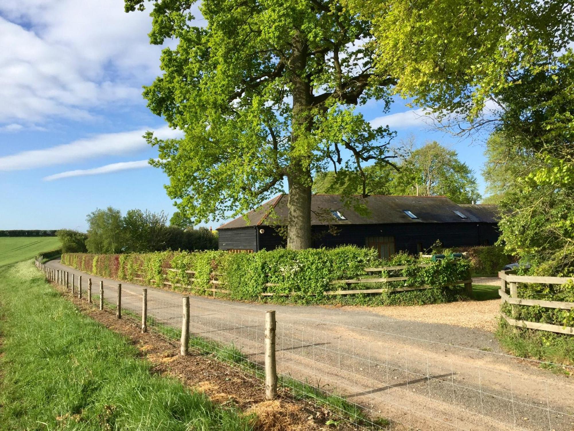 Mulberry Barn Bed & Breakfast Micheldever Dış mekan fotoğraf